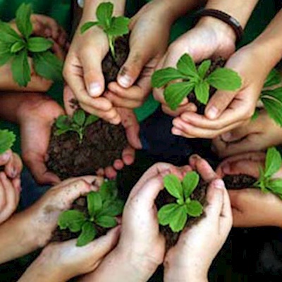 Yeşil Bir Gelecek İçin Eğitim: Çevre Bilincinin Gücü 15.03.2024