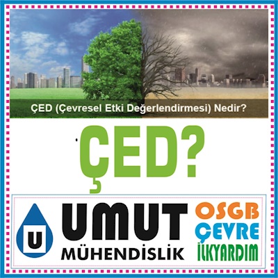 ÇED NEDİR? 19.02.2024