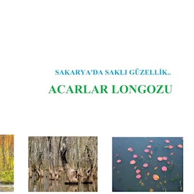Acarlar Longozu, “Ulusal Öneme Haiz Sulak Alan” olarak tescil edildi 